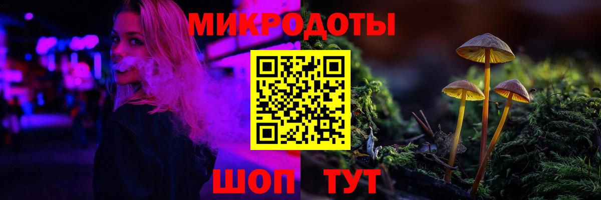 Псилоцибиновые грибы GOLDEN TEACHER  Вход с VPN  Чистополь 